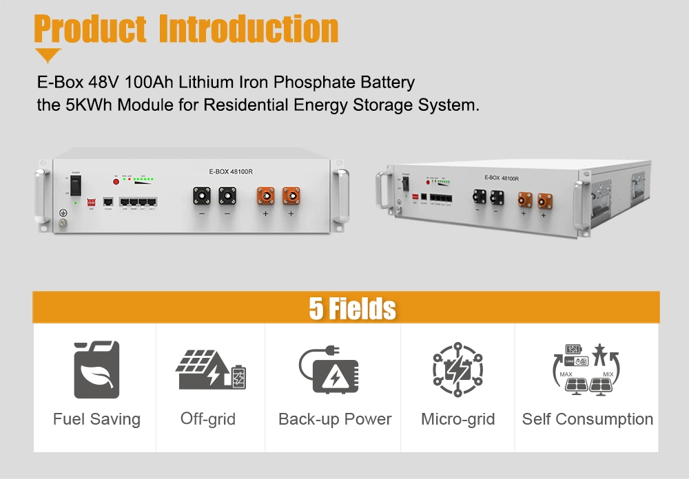 Pytes Prompt Charging 48V 24V 12V 200ah 150ah 100ah 40ah 19" Rack-Mounted LiFePO4 Energy Storage Dependable Power Battery