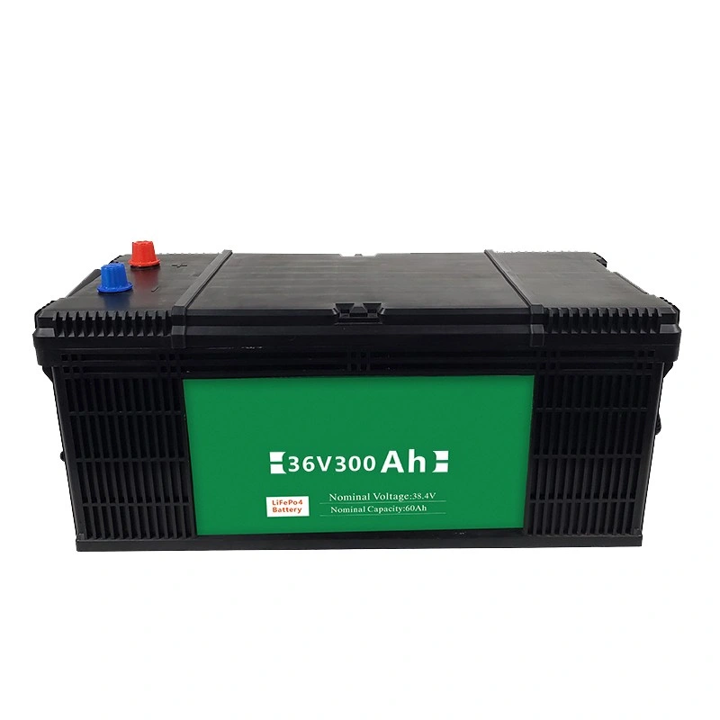 LiFePO4 Battery Pack 12V 24V 36V 48V 72V 96V UPS 30ah 40ah 50ah 60ah 90ah 100ah Batteries