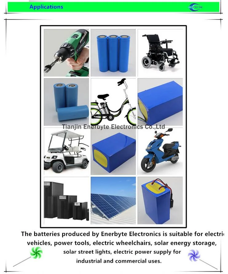 Lithium Battery 24V 10ah for E-Bike/ Low Speed Vehicle /Lsvs/Scooter/Rechargeable Battery Pack