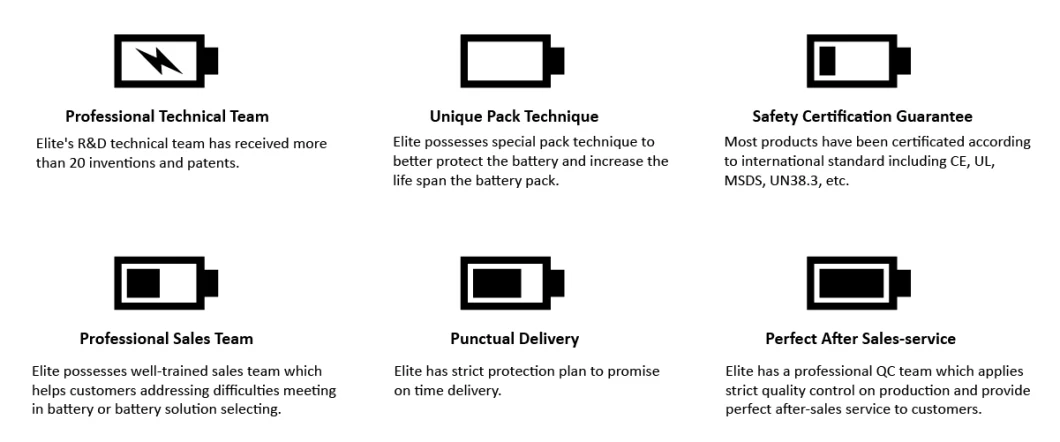 Elite High Discharge Current Lithium Battery Pack 48V 160ah LiFePO4 Battery for Low Speed Vehicles/Golf Cart