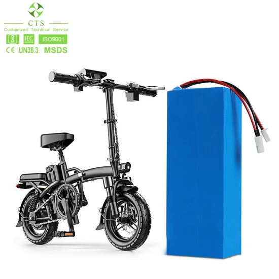 Cts bateria de lítio personalizada 12 v 24 v 48 v 60 v 72 v 20ah 30ah 40ah LiFePO4 bateria para scooter elétrico