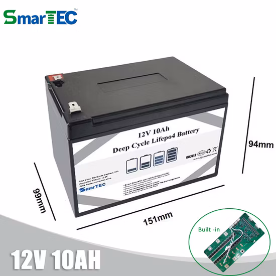 Bateria de íon de lítio LiFePO4 de longa vida útil 12V 10ah com BMS