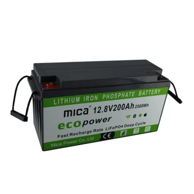 Bateria de lítio recarregável Factory12V 12V 12,8V 24V 25,6V 20ah 24ah 50ah 200ah LiFePO4 bateria para carrinho de golfe/solar LED luz solar Solarspeicherbatterie