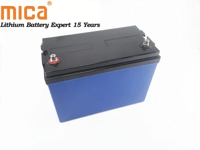 5 anos de garantia EV carro LiFePO4 bateria 24V 80ah empilhadeira elétrica máquina limpa bateria